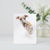 Carte Postale Jeune marionnette (Debout devant)