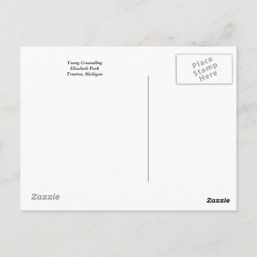 Carte Postale Jeune marmotte (Dos)