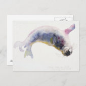 Carte Postale Jeune phoque gris Gweek 2003 (Devant / Derrière)