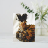 Carte Postale Jeune polonais (Debout devant)