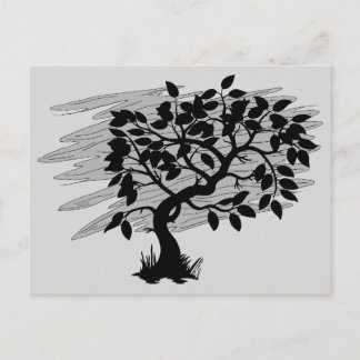 Carte Postale Jeune pousse tordue