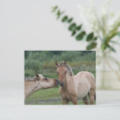 Carte Postale Jeunes chevaux Henson se rencontrant (Debout devant)