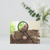 Carte postale - Jeunes colombes dans un nid (Debout devant)