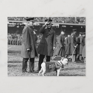 Carte Postale Jiggs Connaît Le Football : 1923