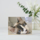 Carte Postale Jillie (Debout devant)