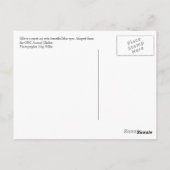 Carte Postale Jillie #2 (Dos)