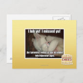 Carte Postale J'irai vers Yu ! Vous m'avez manqué ! (Devant / Derrière)