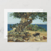 Carte Postale Joaquin Sorolla - Le Carob Tree (Devant / Derrière)