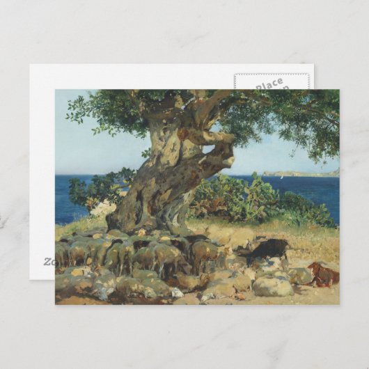Carte Postale Joaquin Sorolla - Le Carob Tree (Devant / Derrière)