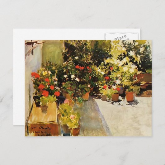 Carte Postale Joaquín Sorolla - Un toit avec fleurs (Devant / Derrière)