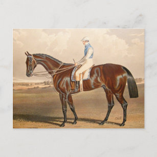 Carte Postale Jockey vintage Sur Hippocampe