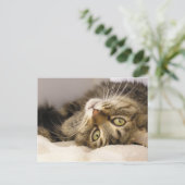 Carte Postale Jody (Debout devant)