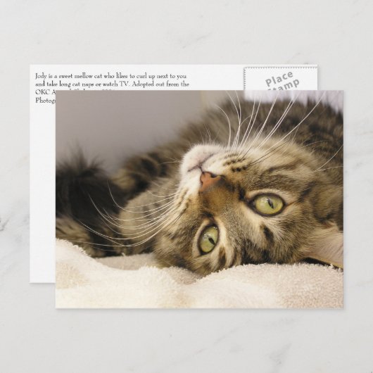 Carte Postale Jody (Devant / Derrière)