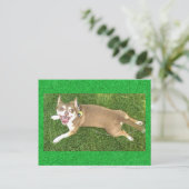 Carte Postale Joey Laughs (Debout devant)