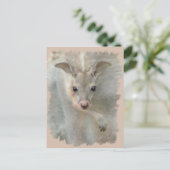 Carte Postale Joey - Pastels Post Card (Debout devant)