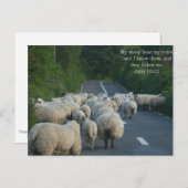Carte Postale John 10:27 Christian Postcard (Devant / Derrière)