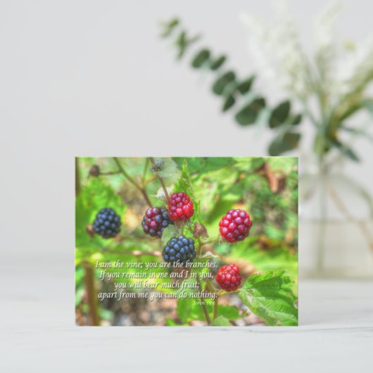 Carte Postale John 15:5 (Debout devant)