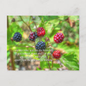 Carte Postale John 15:5 (Devant)