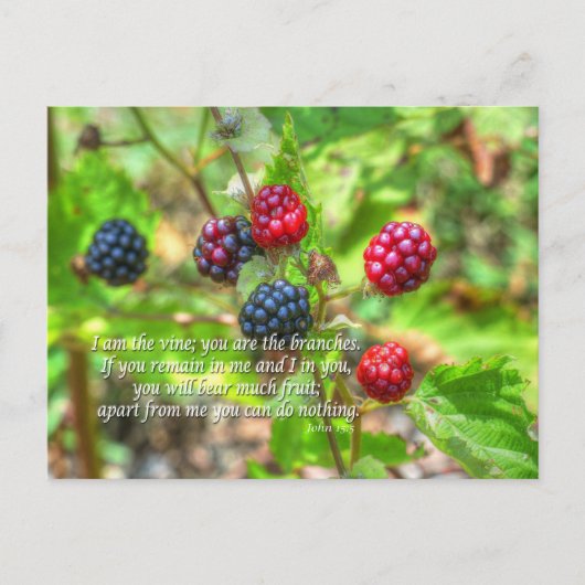 Carte Postale John 15:5 (Devant)