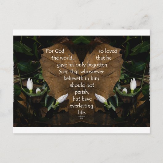 Carte Postale john 3:16 le roi james sur heart leaf (Devant)