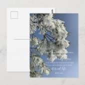 Carte Postale John 3:16 Texte personnalisé | Photo originale de  (Devant / Derrière)