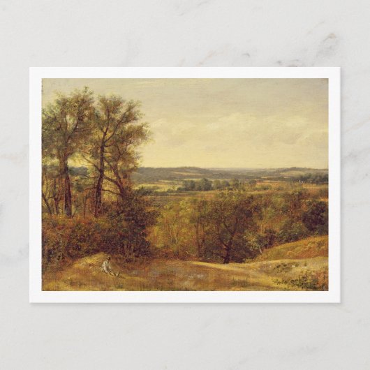 Carte Postale John Constable | Dedham Vale, c.1802 (huile sur ca (Devant)