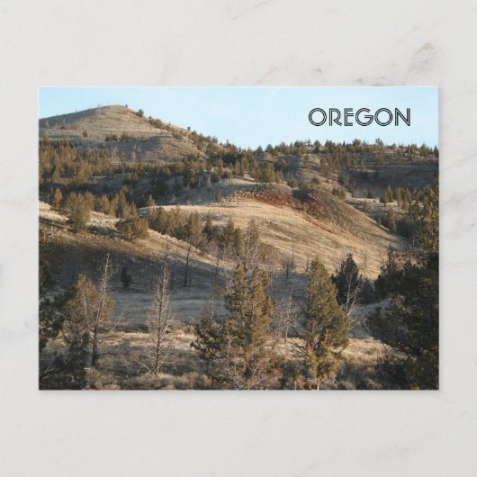 Carte Postale John Day Fossil Beds (Devant)