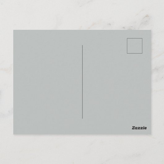 Carte Postale John James Audubon White Ibis Bird Print Classic (Dos)