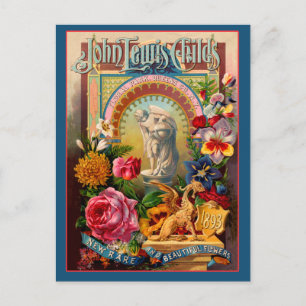 Carte Postale John Lewis Childs Fleurs rares Paquet de semences