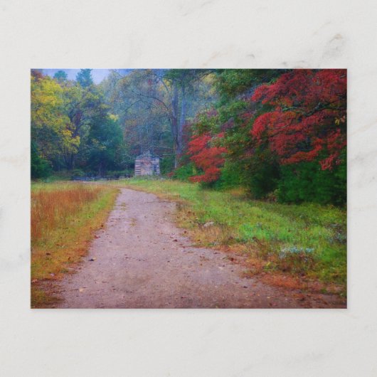 Carte postale - John Oliver Cabine - Cades Cove, T (Devant)