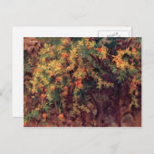 Carte Postale John Singer Sargent - grenades (Devant / Derrière)