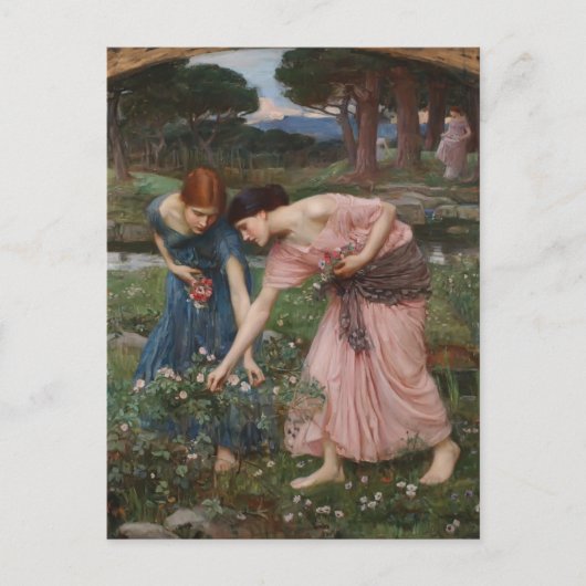 Carte Postale John Waterhouse - Rassemblez Ye Rosebuds En Mai (Devant)