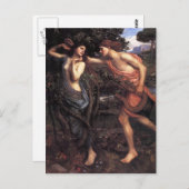 Carte Postale John William Waterhouse - Apollo et Daphne (Devant / Derrière)