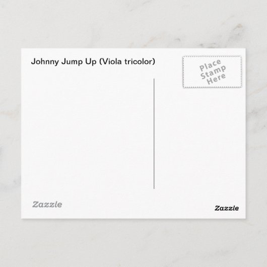 Carte Postale Johnny Jump Up (Dos)