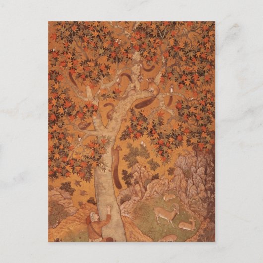 Carte Postale Johnson Album I, écureuils no 30 à bord d'un avion (Devant)