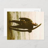 Carte Postale johnson greene tusk (Devant / Derrière)