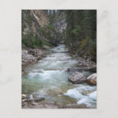 Carte Postale Johnston Canyon Step Falls (Devant)