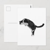 Carte Postale Joie de la pose du chat (Devant / Derrière)