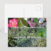 Carte Postale joie texte fleur feuille vert jardin printemps (Devant / Derrière)