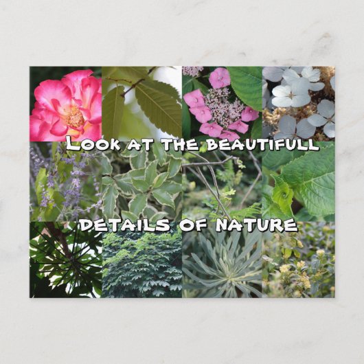 Carte Postale joie texte fleur feuille vert jardin printemps (Devant)