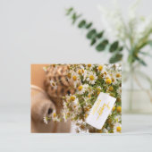 CARTE POSTALE JOLI ANNIVERSAIRE (Debout devant)