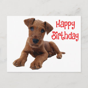 Carte Postale Joli Anniversaire de Chien Chiot Airedale Terrier