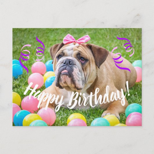 Carte Postale Joli anniversaire de mignonne Bulldog (Devant)