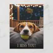 Carte postale 'Joli Beagle Tu me manques' (Devant)
