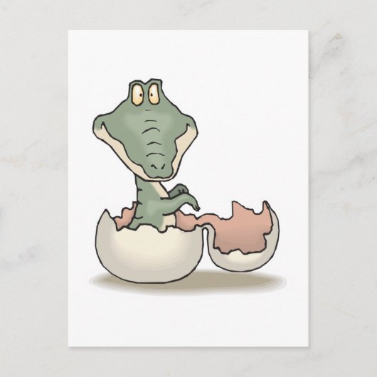 Carte Postale joli bébé alligator à éclosion (Devant)