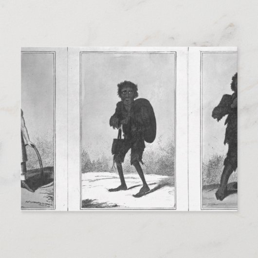 Carte Postale Joli Bob, Pauvre Bob, Bandy Bob, 1819 (Devant)