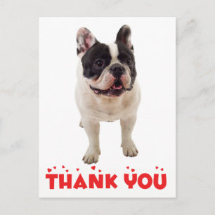 Carte Postale Joli Bouledogue Français Merci Frenchie Chiot Chie