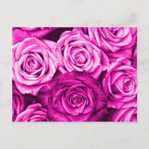 Carte Postale Joli Bouquet de fleurs de roses rose Magenta