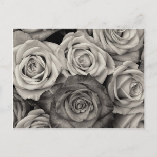 Carte Postale Joli Bouquet de fleurs en roses noires et blanches