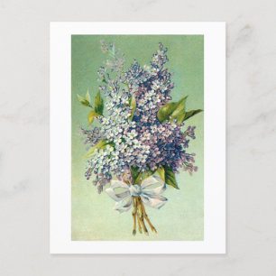 Carte postale: Joli bouquet de lavande